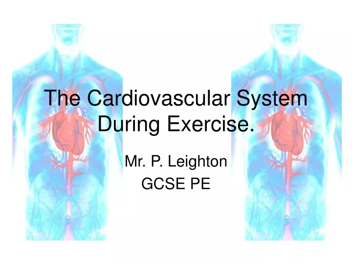 the cardiovascular system during exercise