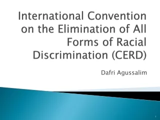  International Convention on the Elimination of All Forms of Racial Discrimination (CERD)