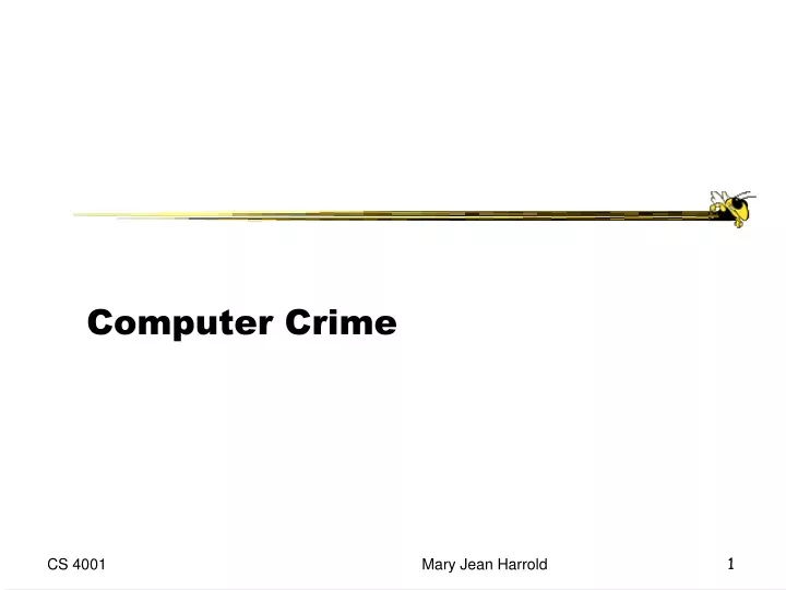 computer crime