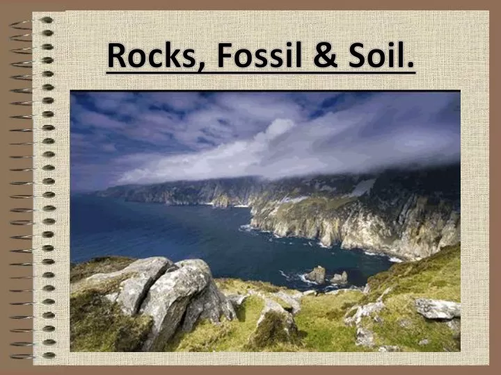 rocks fossil soil