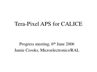 Tera-Pixel APS for CALICE