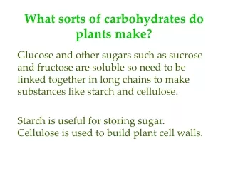 What sorts of carbohydrates do plants make?