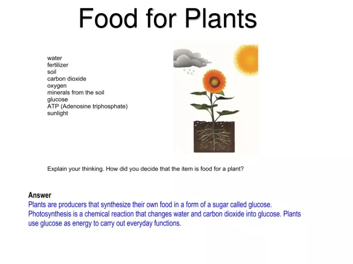 food for plants