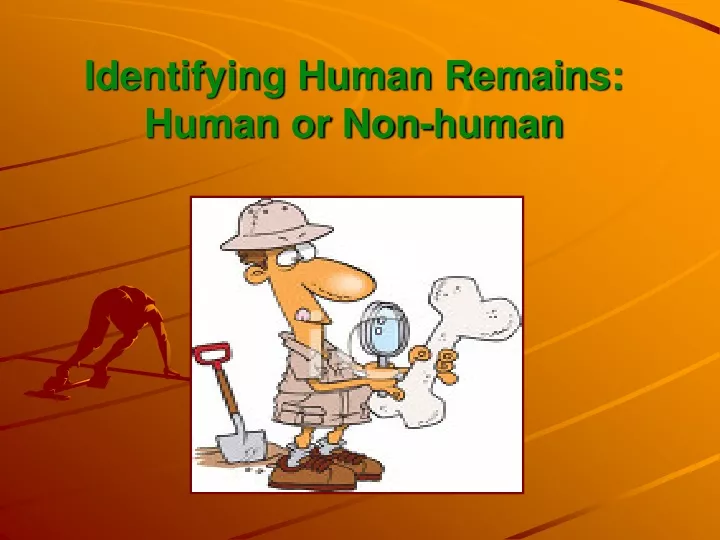 identifying human remains human or non human