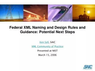 Federal XML Naming and Design Rules and Guidance: Potential Next Steps