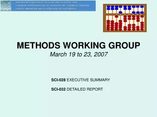 METHODS WORKING GROUP  March 19 to 23, 2007