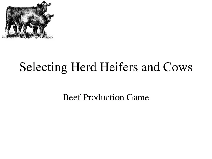 selecting herd heifers and cows