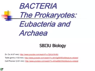 BACTERIA The Prokaryotes: Eubacteria and Archaea