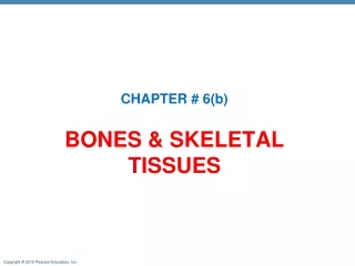 Bones &amp; SKELETAL TISSUES