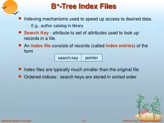 B + -Tree Index Files
