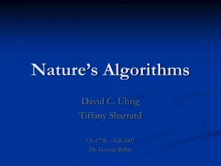 Nature’s Algorithms