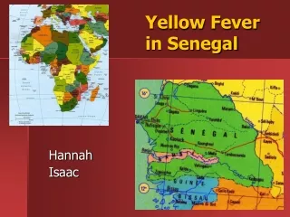 Yellow Fever in Senegal