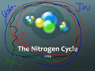 The Nitrogen Cycle