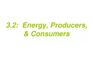 3.2:  Energy, Producers, &amp; Consumers