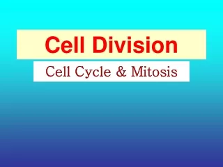 Cell Division