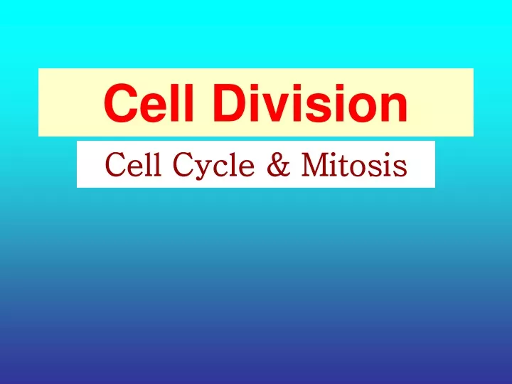 cell division