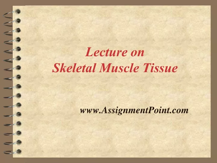 lecture on skeletal muscle tissue