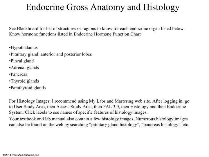 endocrine gross anatomy and histology