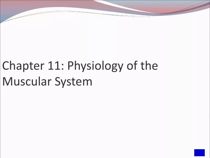 chapter 11 physiology of the muscular system