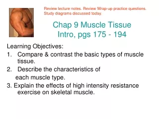 Chap 9 Muscle Tissue Intro,  pgs  175 - 194