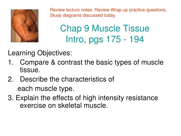 chap 9 muscle tissue intro pgs 175 194