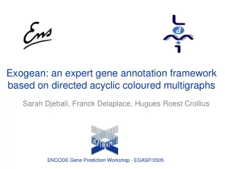 Exogean: an expert gene annotation framework  based on directed acyclic coloured multigraphs