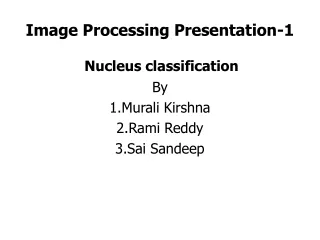 Image Processing Presentation-1