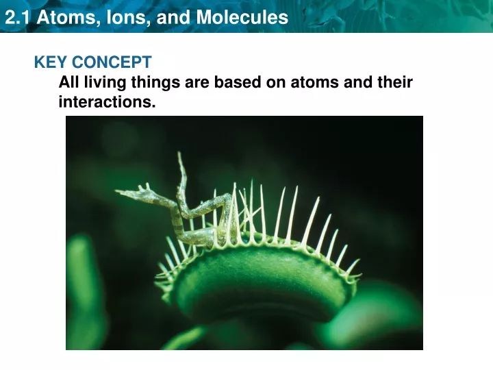 key concept all living things are based on atoms