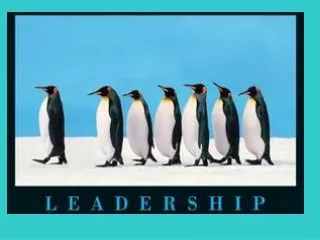 Styles of leadership