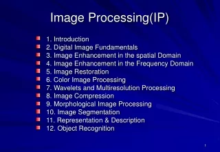 Image Processing(IP)