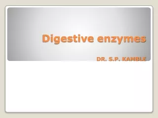 Digestive  enzymes DR. S.P. KAMBLE
