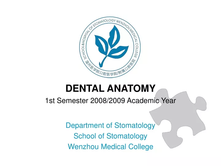 dental anatomy 1st semester 2008 2009 academic
