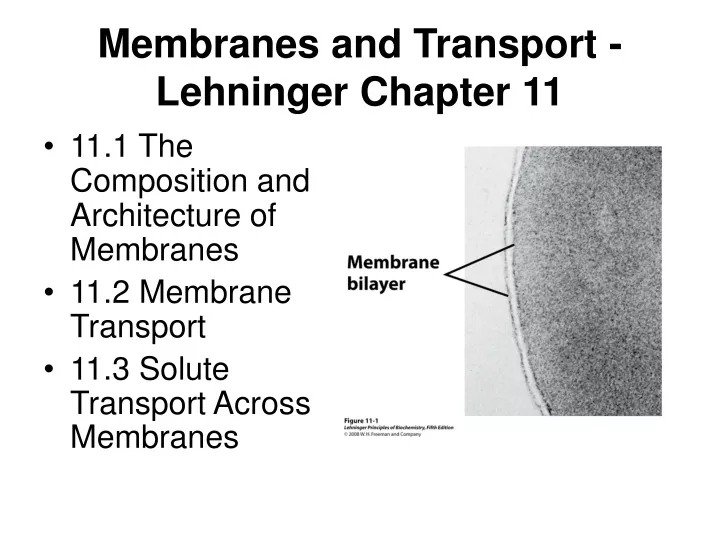 membranes and transport lehninger chapter 11