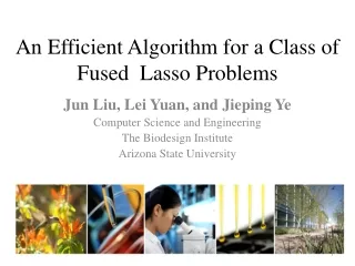 An Efficient Algorithm for a Class of   Fused  Lasso Problems