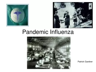 Pandemic Influenza