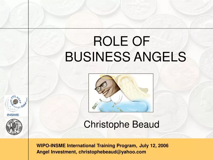 role of business angels