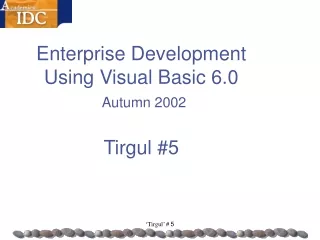 Enterprise Development  Using Visual Basic 6.0   Autumn 2002 Tirgul # 5