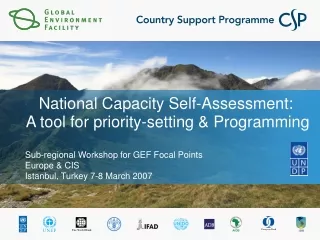National Capacity Self-Assessment:  A tool for priority-setting &amp; Programming
