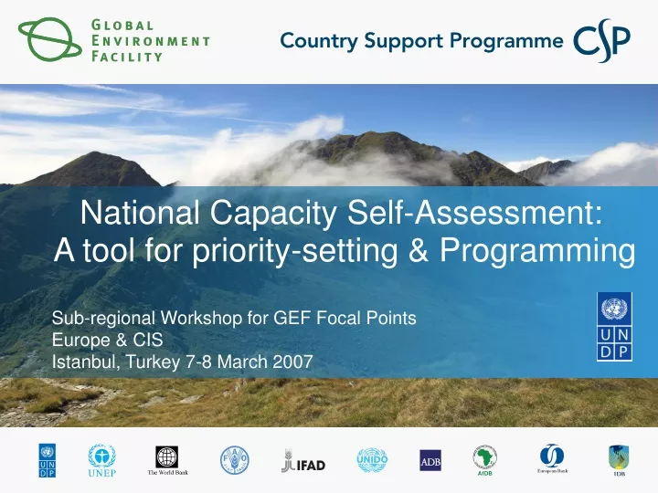national capacity self assessment a tool for priority setting programming