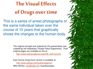 The Visual Effects of Drugs over time