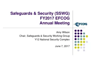 Safeguards &amp; Security (SSWG) FY2017 EFCOG  Annual Meeting