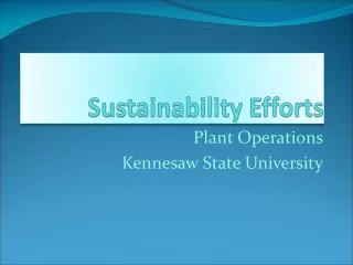 Sustainability Efforts