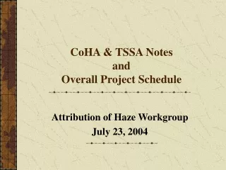 CoHA &amp; TSSA Notes and Overall Project Schedule
