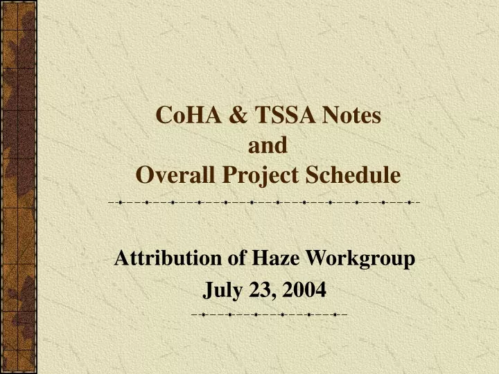coha tssa notes and overall project schedule