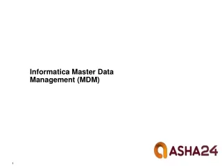 Informatica Master Data Management (MDM)
