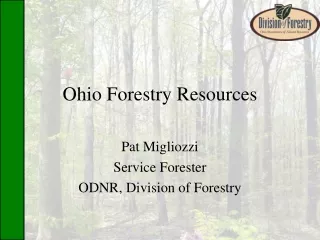 Ohio Forestry Resources