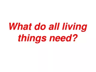 What do all living things need?