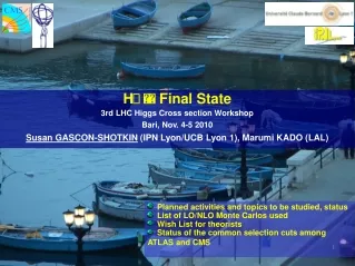 H    Final State 3rd LHC Higgs Cross section Workshop Bari, Nov. 4-5 2010
