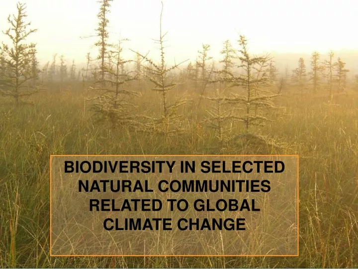biodiversity in selected natural communities
