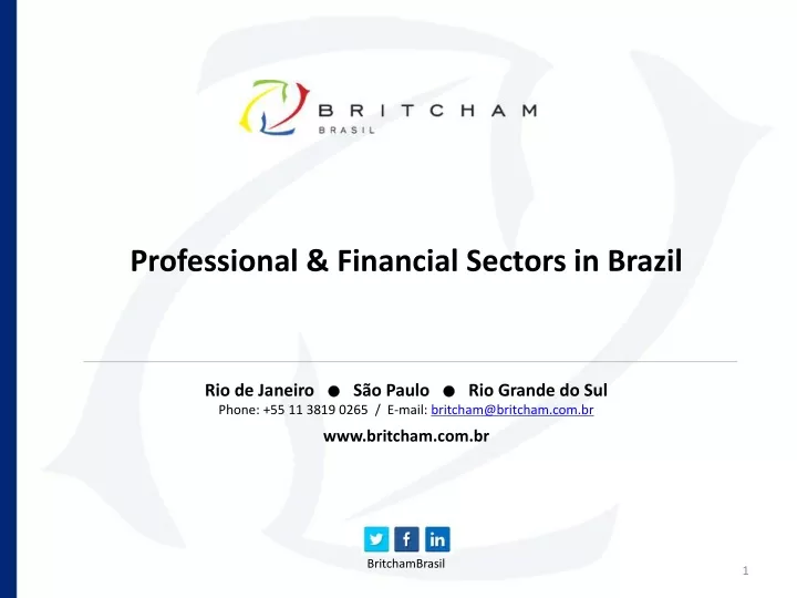 professional financial sectors in brazil